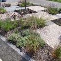 IMG_5939 IMG_5939
