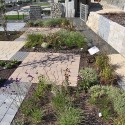 IMG_5948 IMG_5948