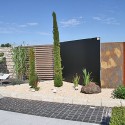 IMG_5972 IMG_5972