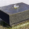 Wasser Wasser