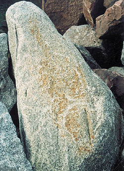 Granitfindlinge
