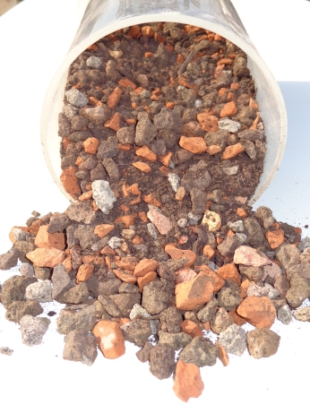 Systemerde ‚Steinrosenflur‘